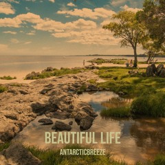 ANtarcticbreeze - Beautiful Life