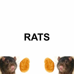 Rats