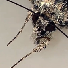 yr probably like the prettiest thing i have ever seen in my stupid fucking life