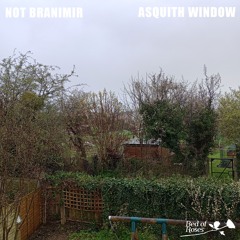 PREMIERE 🌹 Not Branimir - Asquith Window [Bed of Roses]