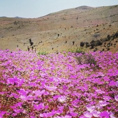 Random Latin Journey #strictlyvinyl  10_11_25