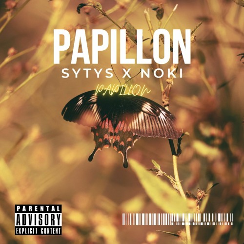 Sytys ft Noki PAPILLON (Audio Officiel)