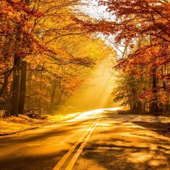 Autumn Evenings