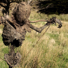 how i live (prod yotocapone & candle)