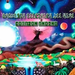 OEA - CORAZON ANDINO