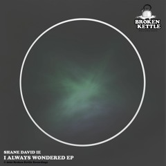 BKR 002 - Shane David IE - I Always Wondered EP (PREMIERS)