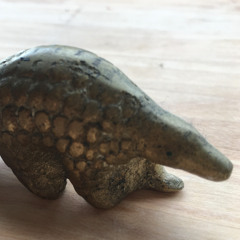 Tyler Stadius – Live at Gorg-O-Mish, November 23, 2025