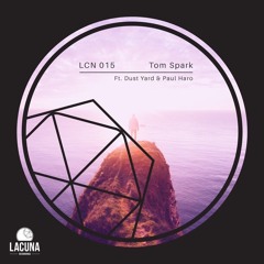 Premiere : Tom Spark - Ray (Dust Yard Remix) (LCN015)