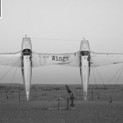 WINGS Part 2