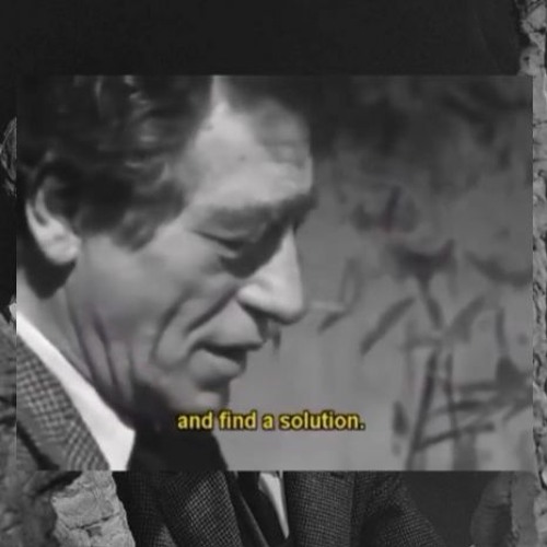 Howlin' Bear - Solution