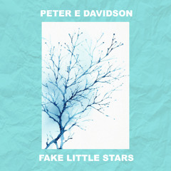 Fake Little Stars