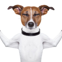 Habit (prettifun only bc lucy is buns)