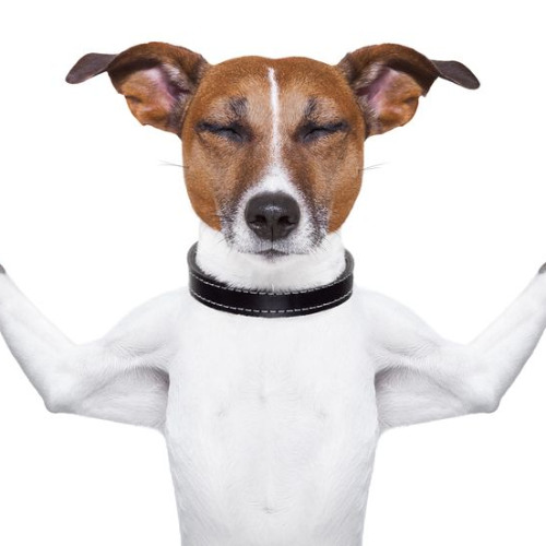 Habit (prettifun only bc lucy is buns)