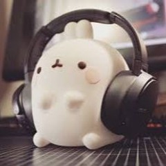 ✨Rolones.com✨