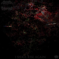 SCARRED x Deindividuation - I Shall Rise Again