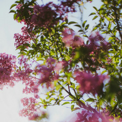 Oklou - ICT Edit [FREE DL]