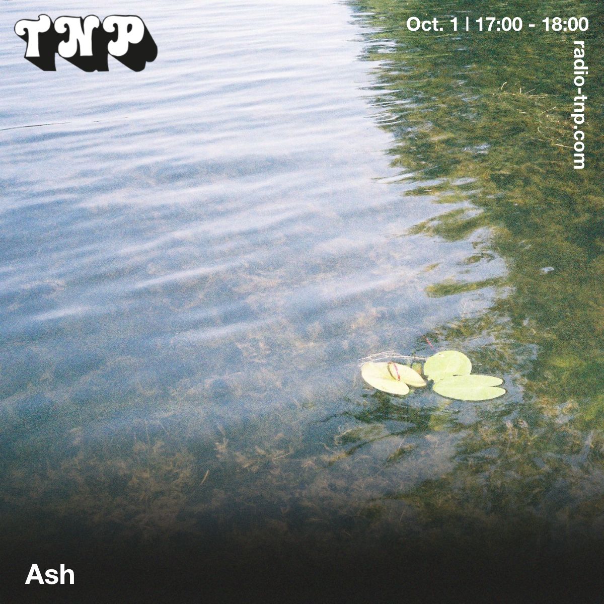 Ash