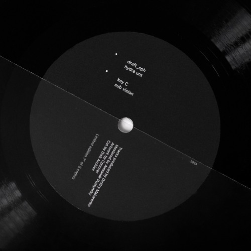 sub vision (from "System 1" EP)