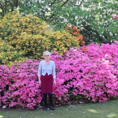 blossomsong hampstead heath extract