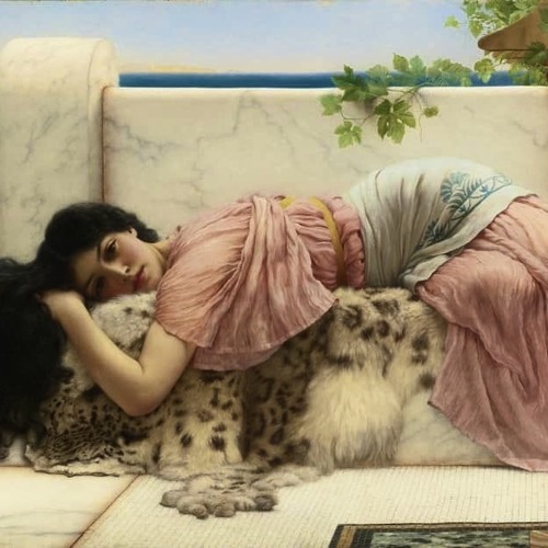 skateboardtrickz (prod.skateboardtrickz)