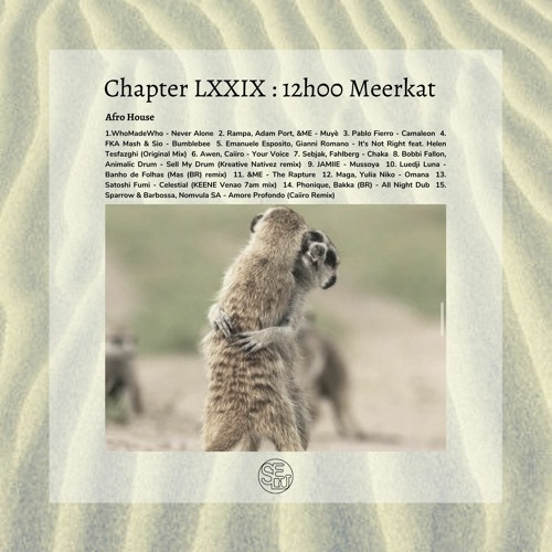 Chapter LXXIX : 12h00 Meerkat