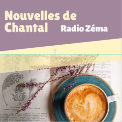 Les Petites nouvelles de Chantal - Woody Allen Recalé
