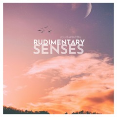 Rudimentary Senses (Lo-Fi)