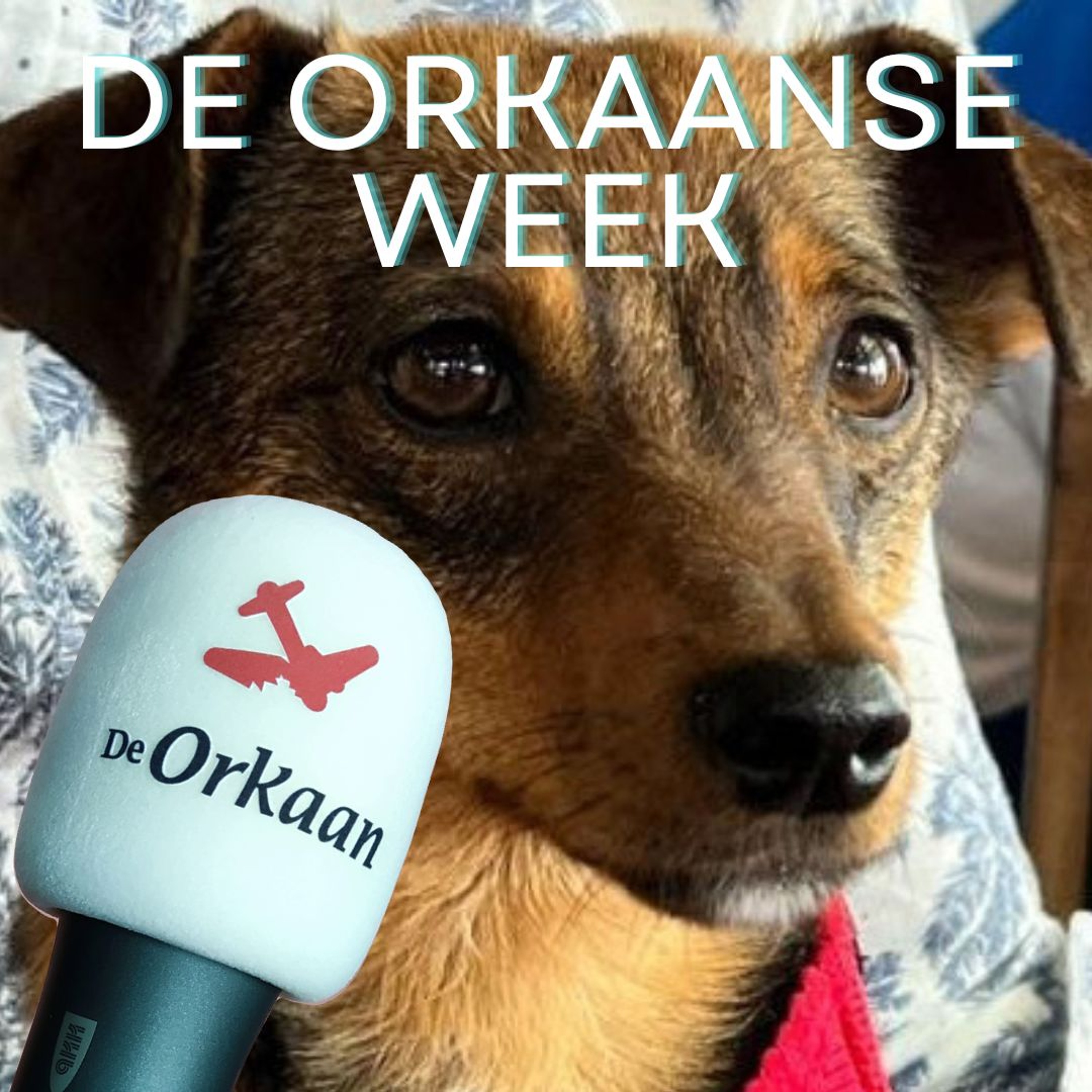 De Orkaan podcast (Zaans nieuws)