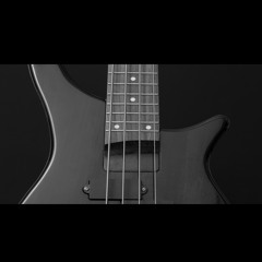 Guitar - Acoustic Projection One