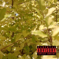 FORSYTHIA SMOKE (BEATS BY AUGUST FANON)