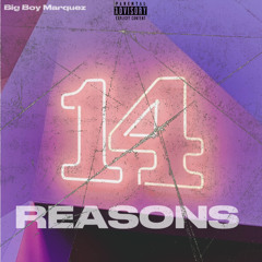 14 REASONS  (prod. by Isaac Towner Beats)