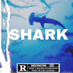 SHARK (songwars)