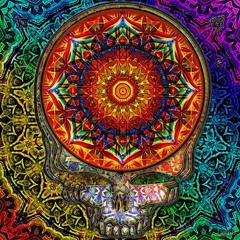 Box Of Rain (Phil Lesh Tribute)