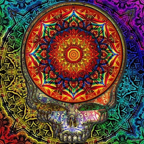 Box Of Rain (Phil Lesh Tribute)
