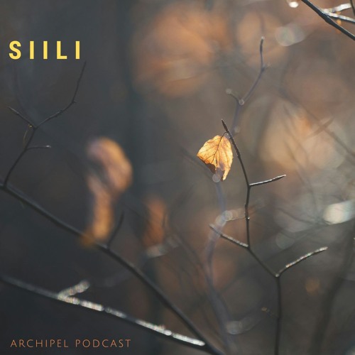 Archipel Podcast: Siili