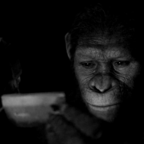 Stream "A Good Man, Like You" (Pastel Ghost Pulse x Caesar) (Axurya