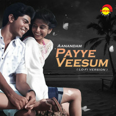 Payye Veesum - From "Aanandam", Lo-Fi Version