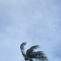 highway (ft. yn drako)