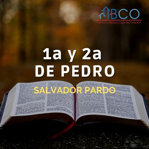 7 de octubre de 2022 - Salvación y santidad - Salvador Pardo