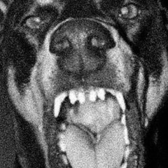 Selfboy Bebop (feat. Sickoo)