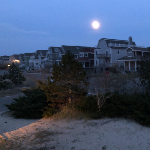Sea Glows