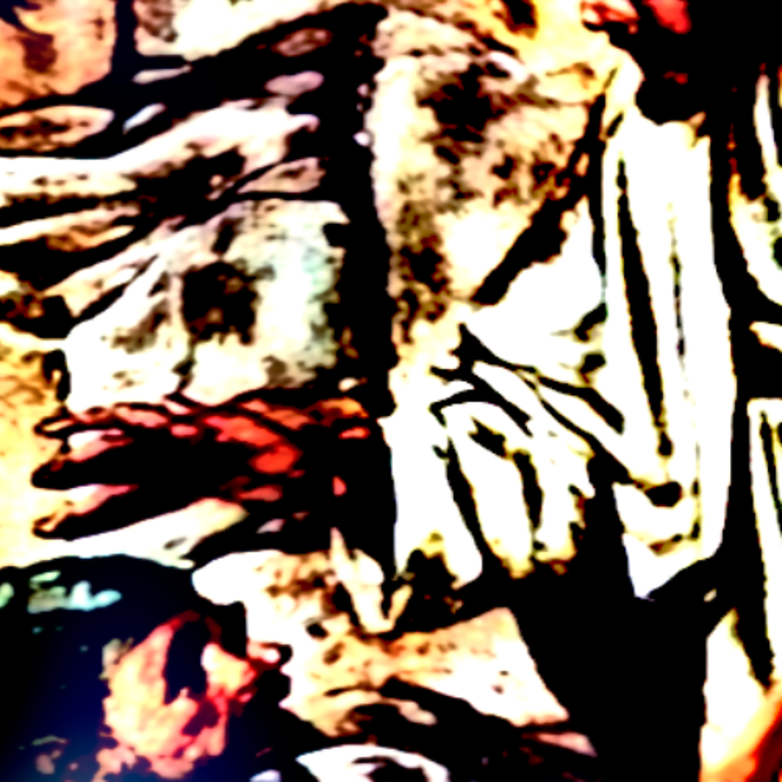 Tesicular Fuzz Jam Remaster episode artwork
