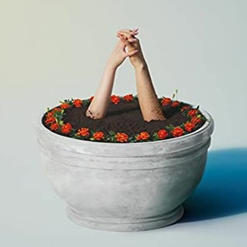 あいみょん マリーゴールド Ippei Remix Free Download By Ippei Free Download On Toneden