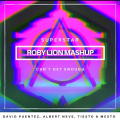 David Puentez, Alberts Neve, Tiesto, Mesto - Superstar vs. Can't Get Enough (Roby Lion Mashup)