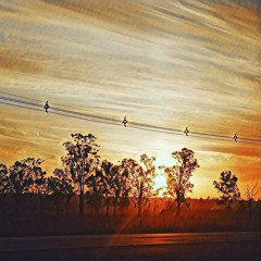 Pasajero (home session)