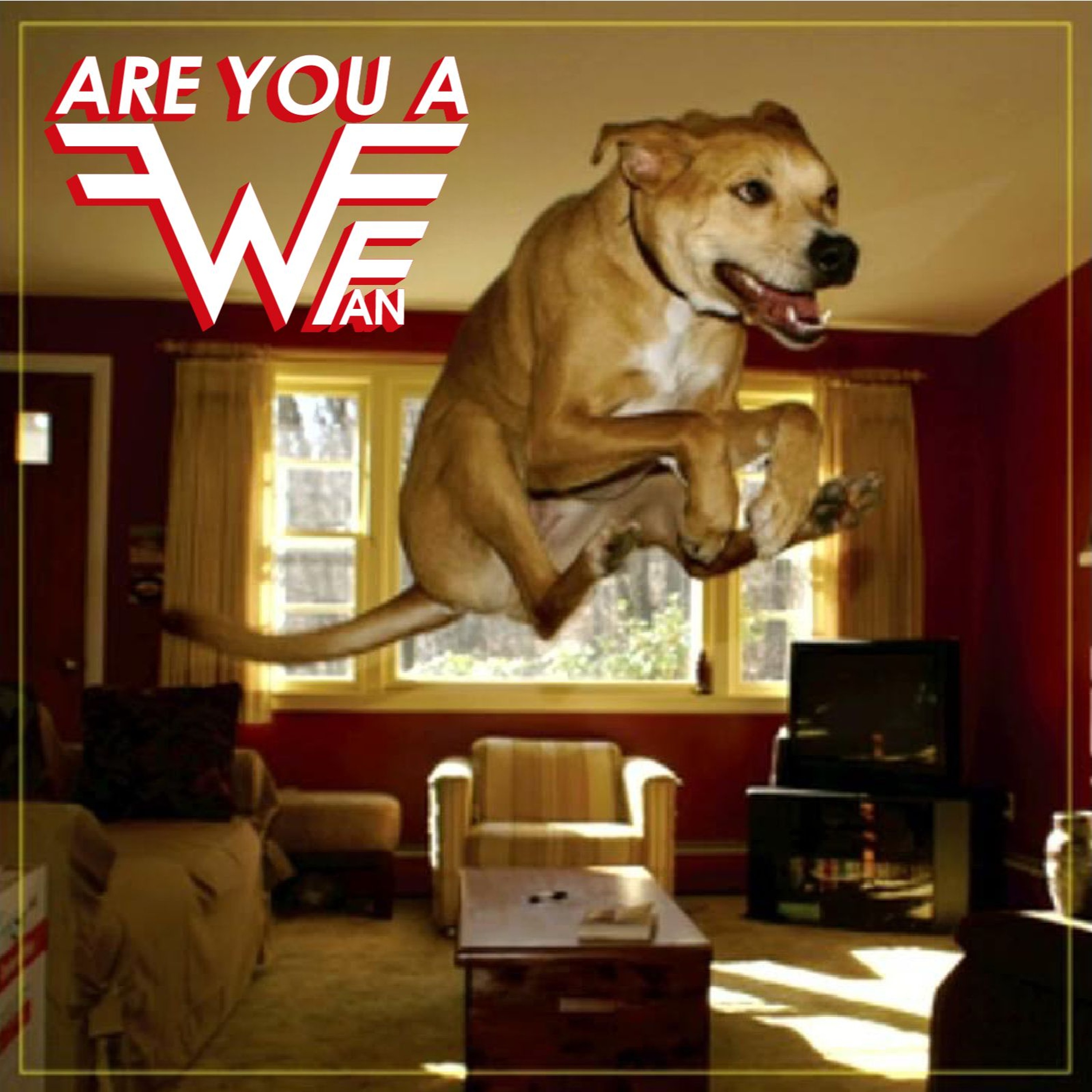 Are You A Weezer Fan?