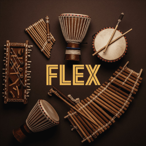 Rema x Asake Type Beat - "Flex" (AmaPiano/Afrobeats Instrumental)