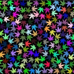 Jump In The Line  - The House Remix of The Hip-Hop Remix Re-Mixxed by Julz Rome