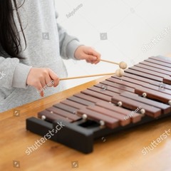 xylophone