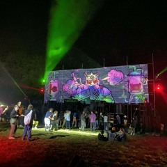 acid mental tribe